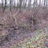 Einsatzfoto